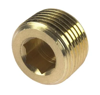 Brass Internal Hex Male Blanking Plug With BSPP BSPT And NPT Threads • £2.10
