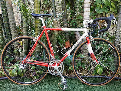 Masi Medichi Colnago Bianchi STEEL Road Bike Custom 54 • $995