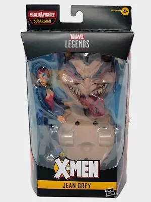 New 2020 Hasbro Marvel Legends X-Men 6  Jean Grey Action Figure Sealed Sugar Man • $18