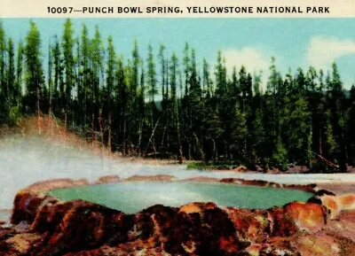$34.95 • Buy Punch Bowl Spring Yellowstone National Park Postcard White Border Haynes Studios