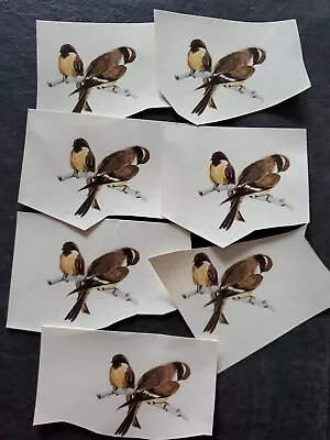 Vintage Lot Of 7 Bird Decals For Ceramics 2  X 2.5  • $3.95