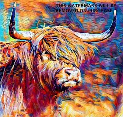 £19.99 • Buy HIGHLAND COW MULTI COLOUR Wall Art 20x20 Inch Canvas Framed READY TO HANG UK