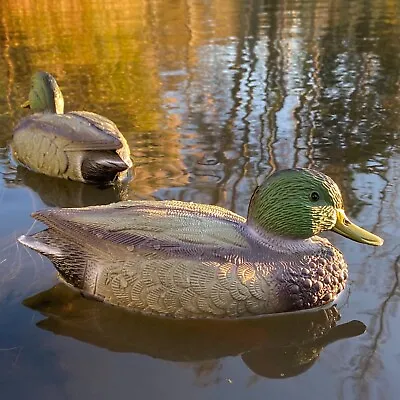 Mallard Duck Hunting Shooting Floating Decoy Pond Decoration Model • £7.99