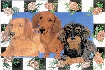 Dachshund Birthday Card 5 X 7 With Envelope • $6.95