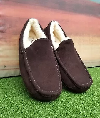 Mens UGG Ascot Suede Slipper 1101110 Espresso Brown  - US MEN'S SIZE 13 • $59