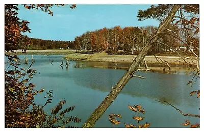 Vintage Muskegon River Michigan Postcard Unposted Chrome • $3.65