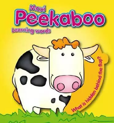 My Peekaboo Fun - Learning Words (Maxi Peekaboo) - Board Book - VERY GOOD • $3.96