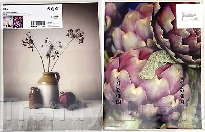 Pack Of 2 - Ikea BILD Poster Picture 12x16  Artichokes (No Frame) 505.076.43 NEW • $24.99