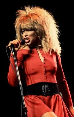 Tina Turner Photo Poster 11x17 • $16.99
