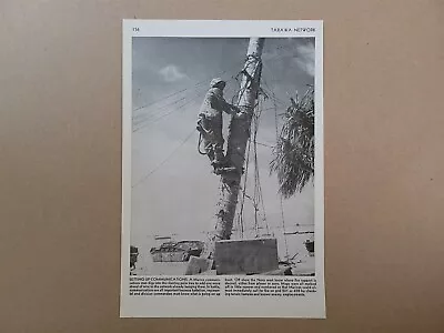 Tarawa Marines Setting Up Communications 1945 World War 2 WW2 Picture Sheet • $16