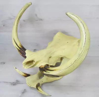 African Warthog Skull Replica Hinged Jaw Vintage Retired Display With Mount • $198.99