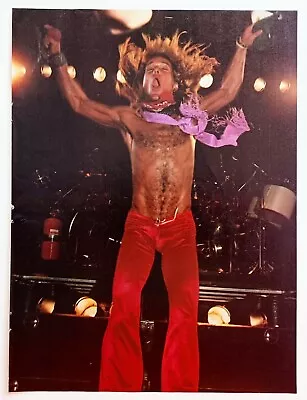 Van Halen David Lee Roth Live~orig 1981 Poster~full Page Magazine Pinup Clipping • $15.99