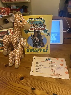 My Animal Kingdom | All About Giraffe | 2 Toys Hardback Book Certificate Inc. • £10