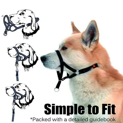 Dog Halter Halti Training Head Collar Gentle Leader Harness Nylon Dogs Collars • £5.79