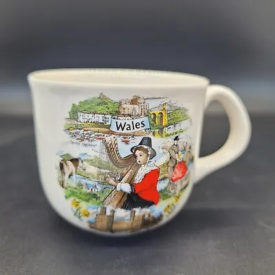 £4 • Buy Wales Souvenir Ceramic Espresso Coffee Cup