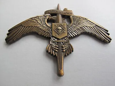 Raider SKULL On MarSoc Legacy Badge Pin US Marine Corps SOCOM Tactical Antiqued • $16.99