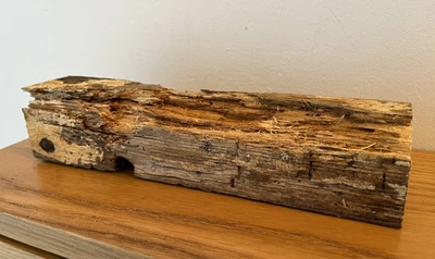 £4.99 • Buy Flat Ish Driftwood Plinth Model Base Beach Art Paint Wood Rack Coastal Village