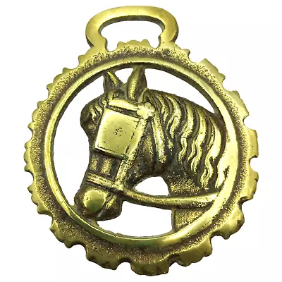 Brass Horse Medallion Vintage English Horseshoe Equine Head Martingale Parade • $17.95