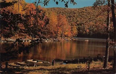 Mahanoy City PA Pennsylvania Tuscarora State Park Barnesville Vtg Postcard M6 • $12.70