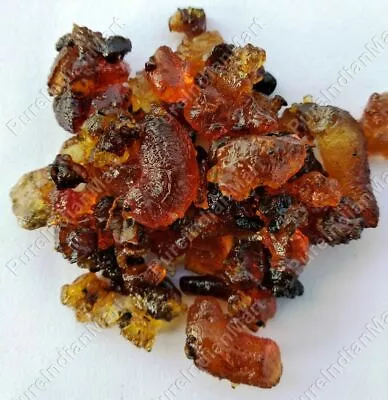 $90.48 • Buy Guggul Gum Resin Indian Bdellium Myrrh Commiphora Mukul Organic Incense Bulk