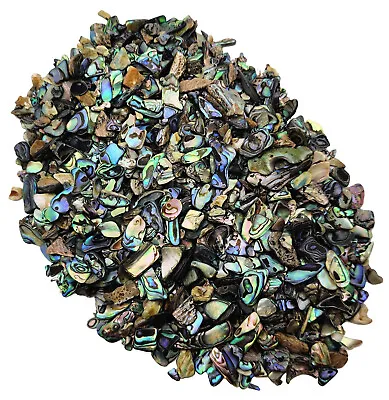 Paua Shell Pieces - Satin -  3mm - 13mm - 1/4 Lb Lot - Abalone • $29.99