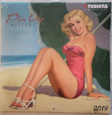£7.99 • Buy Pin Up History Mini Calendar 2019 (sealed) (vintage Glamour  Illustrations)