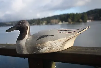 Pintail Drake Duck Decoy Unknown Maker OP Boat Style Tail Solid Wood. • $125