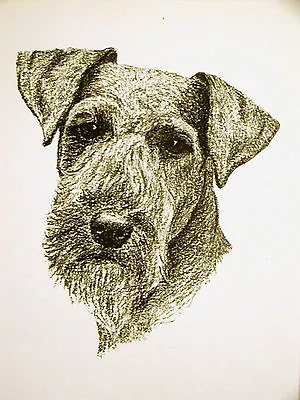 Francis Wardle 1935 WELSH TERRIER Vintage Dog Print Matted • $25