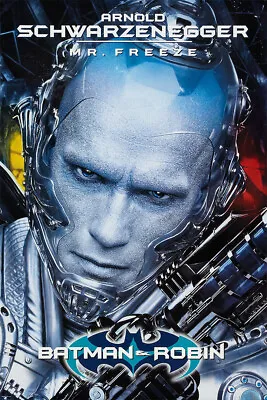 Mr Freeze Arnold Schwarzenegger Superhero Film Art Print Decor - POSTER 20x30 • $23.99