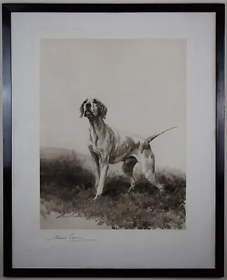 English Pointer On The Moor. Original Signed Photogravure After Maude Earl 1908 • $491.48