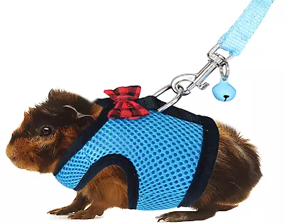 Guinea Pig Harness And Leash - Soft Mesh Small Pet With Safe Bell • $10.27