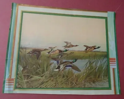 Blinks Signed Ducks In Flight  The Mallards  15 X12  Calendar Print Vintage • $14.99