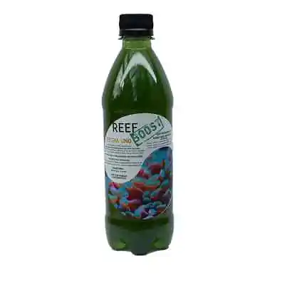 ReefBoost 500ml Premium LIVE Tetraselmis Phytoplankton LPS Coral Phyto Copepod • £13.25