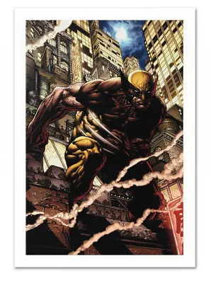 Wolverine #900 Canvas Giclee Art David Finch Splash Marvel Artworks Collection • $89.95