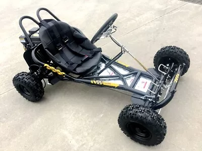 200cc 6.5HP Go Kart Wet Clutch Dune Buggy ATV Quad 4 Stroke Adult/Teen/Kid Black • $1069