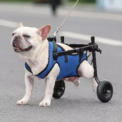 Dog Wheel Chair For Back Legs Pet Wheelchair Disabled Cat Too Walk • $87.13