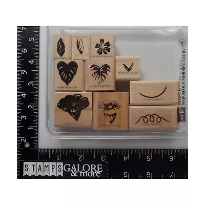 Stampin' Up! Rubber Stamps 1999 MARVELOUS MORNING GLORY TWO STEP FLOWERS  • $4.19