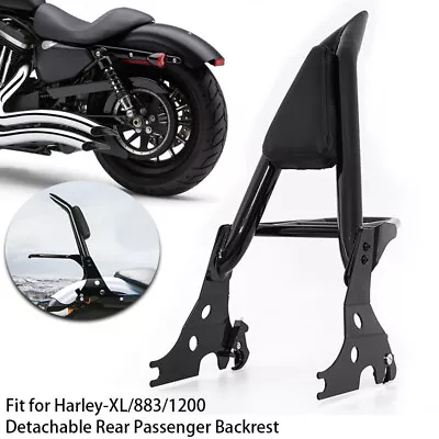 Backrest Sissy Bar & Luggage Rack For Harley Sportster XL 883 1200 Custom 04-22 • $99.99