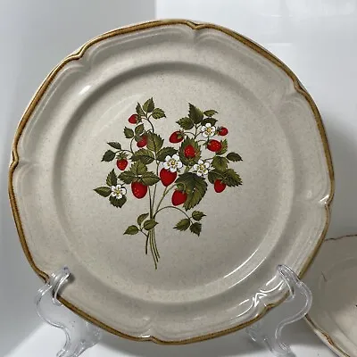 (4) Vintage Strawberry Dinner Plates  Sunmarc LA FRAISE Endura Collection MCM • $29.99