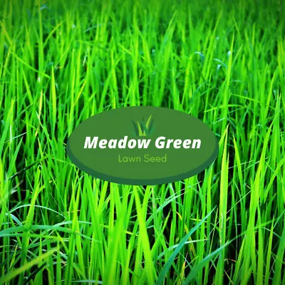 Grass Seeds Hard Wearing Lawn Premium Tough Fast Growing Free Fast Delivery • £1.82