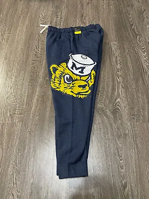 Nike University Of Michigan Fleece Sweatpants Blue Unisex L DJ7048-419 NEW • $69