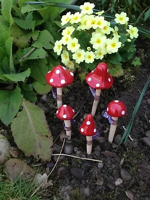 Garden Mini Toadstools Ceramic Fairy Decoration Mushrooms Pixie Magical Sets • £9.99