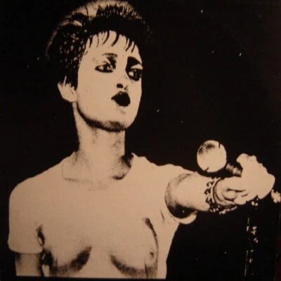 £200 • Buy Siouxsie And The Banshees Rare 1978 Album Punk,Love In A Void