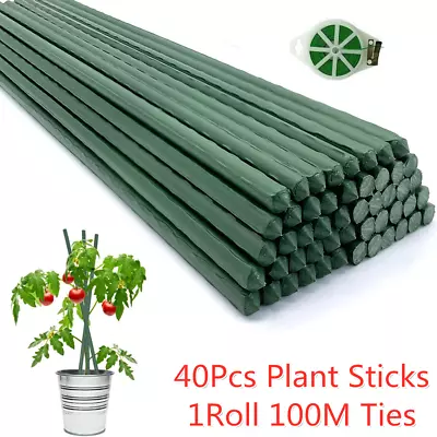 40Pcs Garden Plant Stakes Metal Plastic Coated Climbing Support Cane Pole Sticks • £15.99