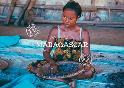 Madagascar Mava Maliolio Organic Cacao Cocoa Beans • £15