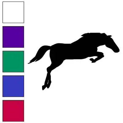 Jumping Horse Pony Vinyl Decal Sticker Multiple Colors & Sizes #7423 • $5.17