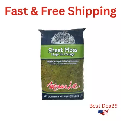 Sheet Moss Soil Cover 325 Sq. In. Hoja De Musgo Houseplants Crafts Hobbies • $11.99