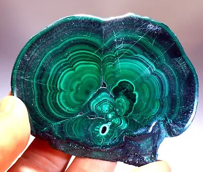 3.5  Polished Malachite Slab Congo! MA588 • $148