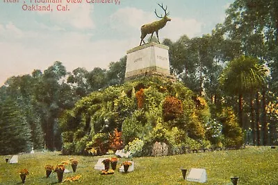 Mountain View Cemetery Oakland Elks Rest Monument 1907 Chromolithograph Postcard • $7.77