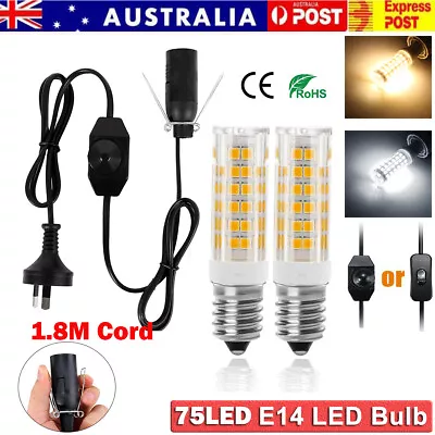 Power Cord + Salt Lamp Replacement LED Light Bulbs For Selenite Lamp SpotLight • $18.99